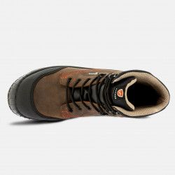 Parade Modèle Norman vue 5