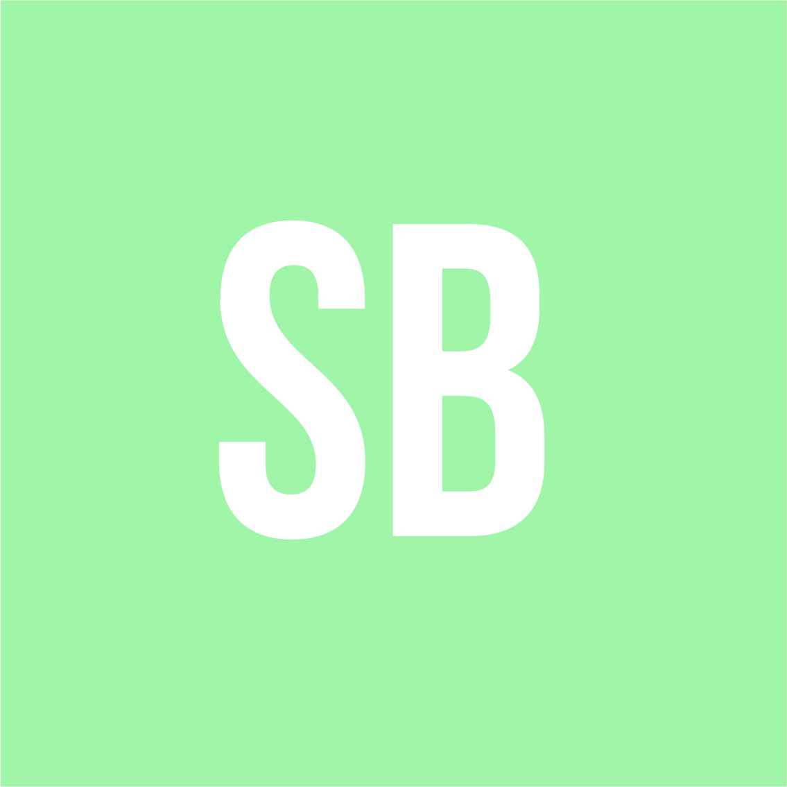 Logo S3 vue 1