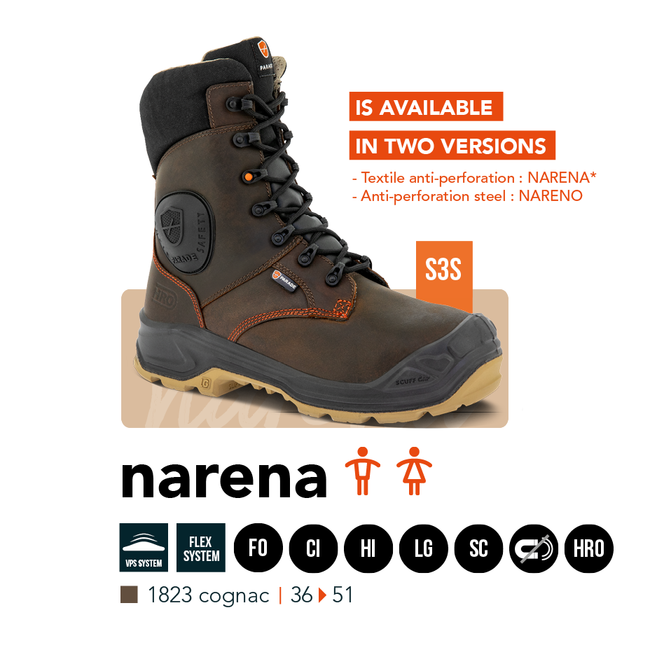 Mod&egrave;le mixte Netna