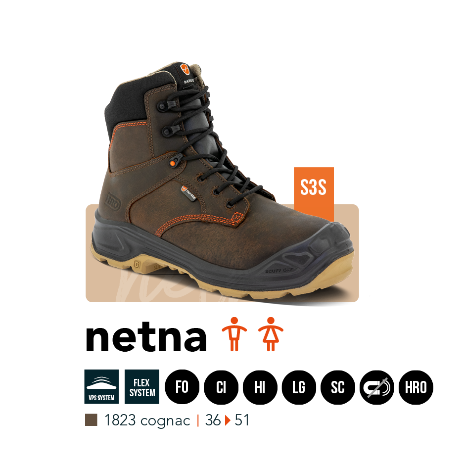 Mod&egrave;le mixte Netna