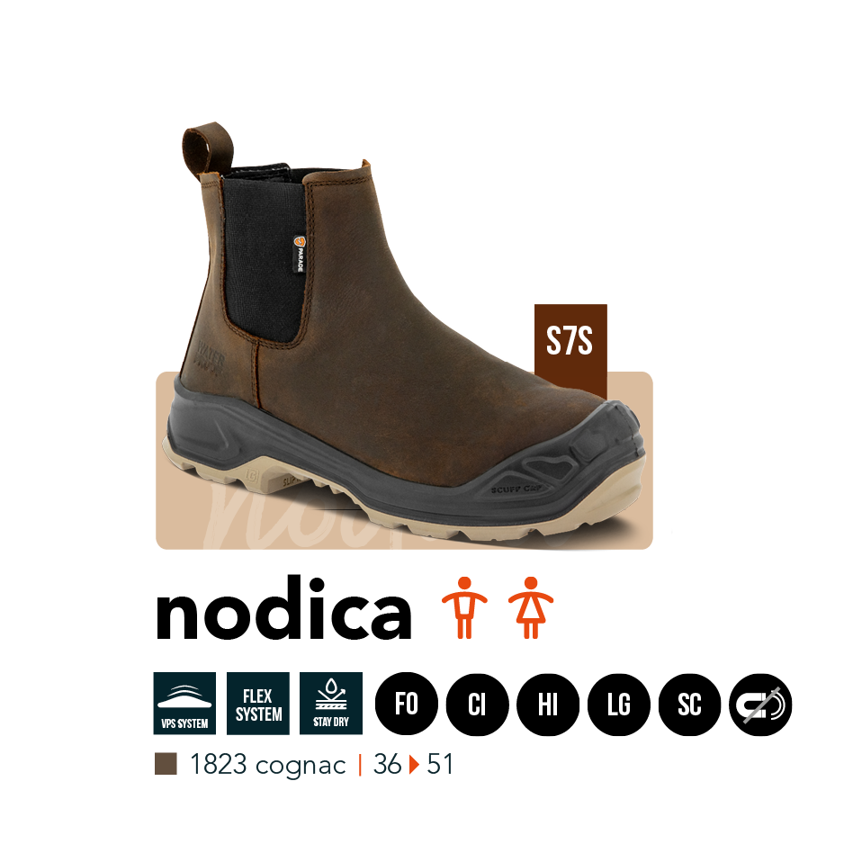 Mod&egrave;le mixte Nagoya