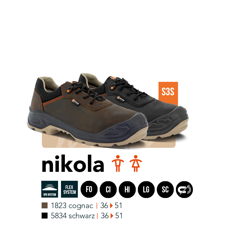 Mod&egrave;le mixte Nikola