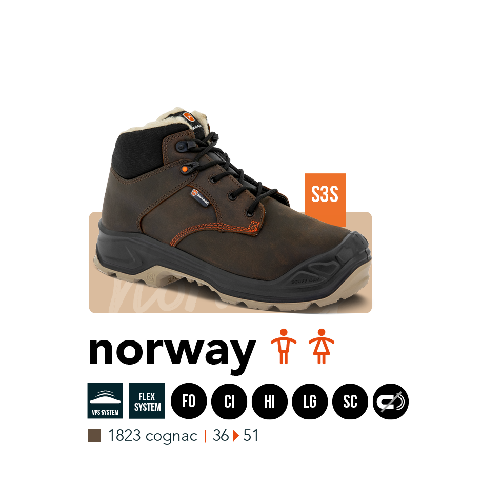 Mod&egrave;le mixte Norway